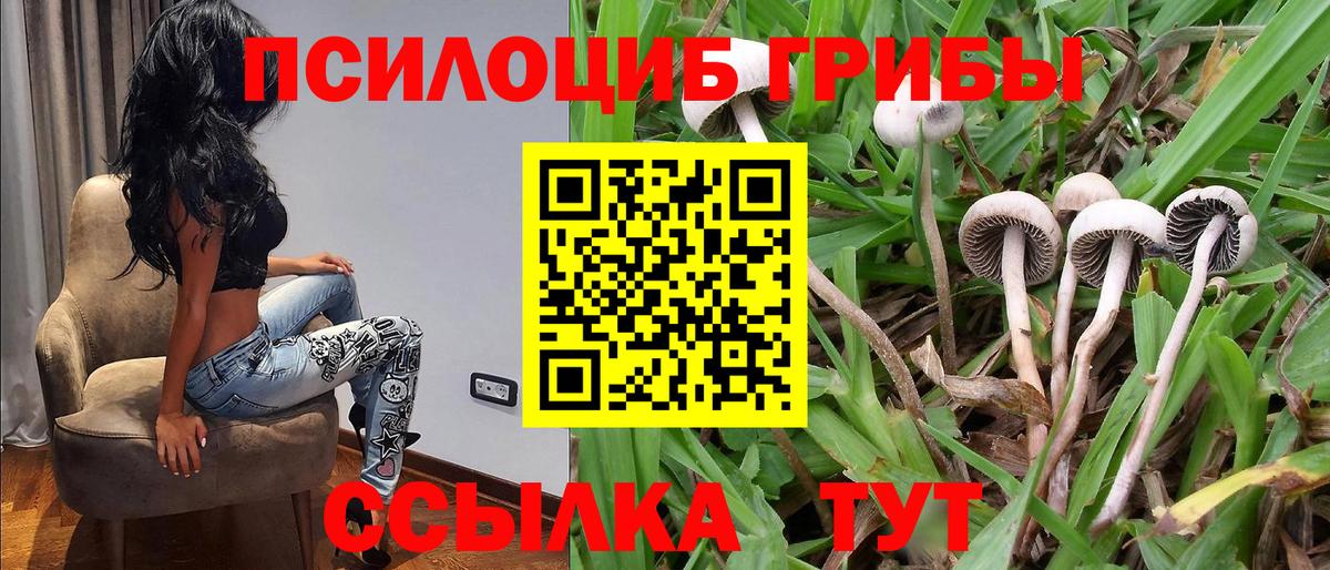 Ивантеевка  Псилоцибиновые грибы GOLDEN TEACHER  Вход с VPN 
