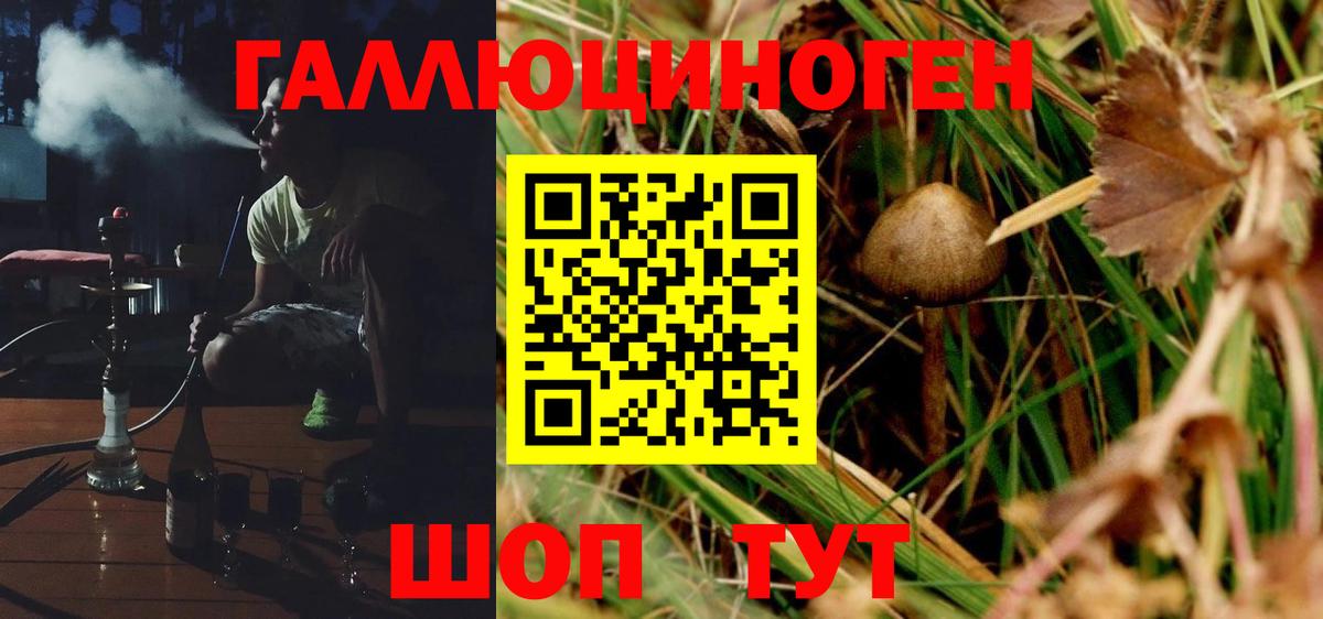 Псилоцибиновые грибы мухоморы Ивантеевка